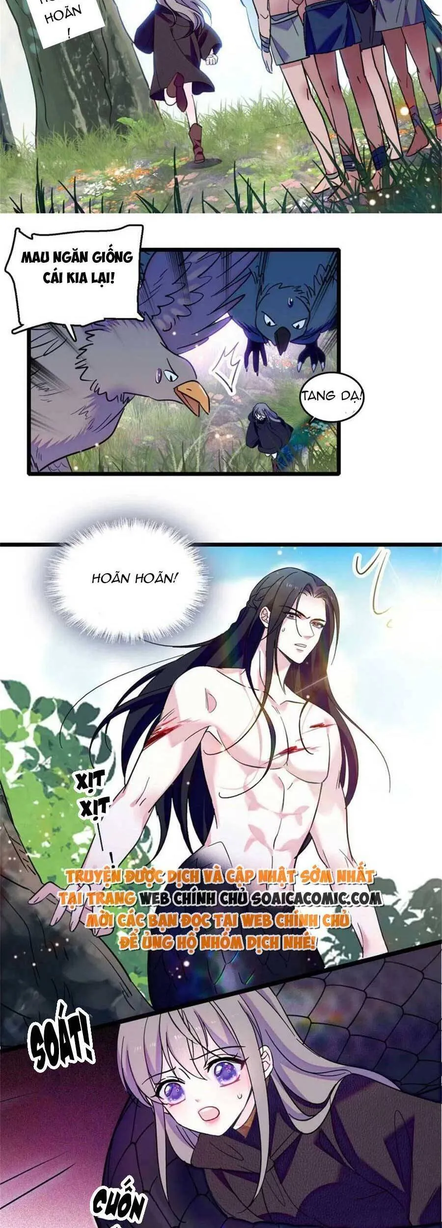 Trang 8