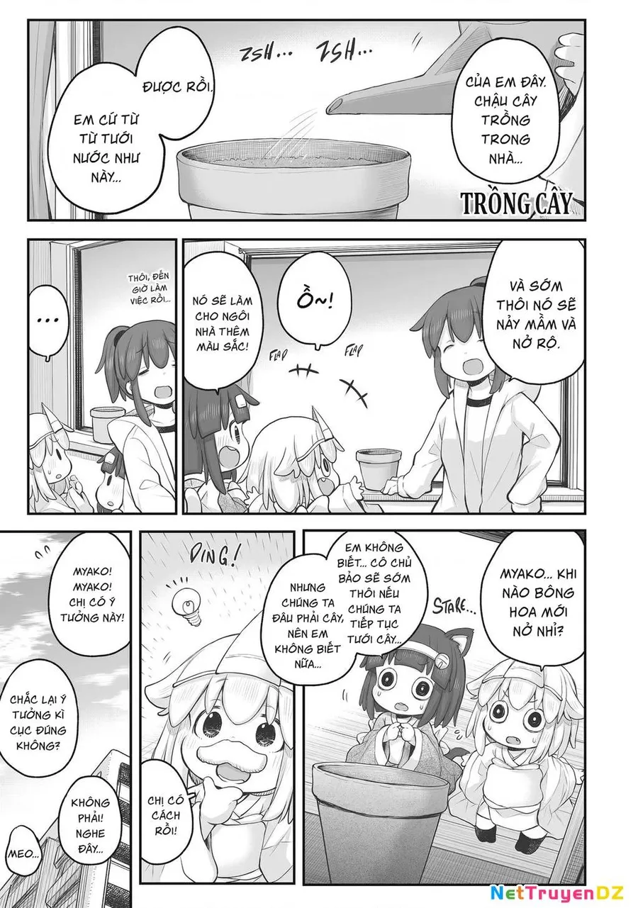 Trang 4