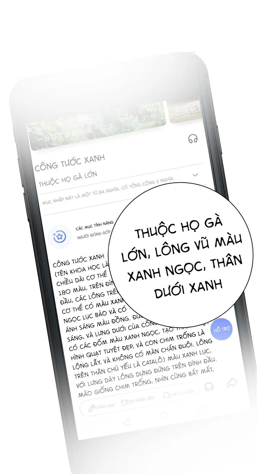 Trang 43