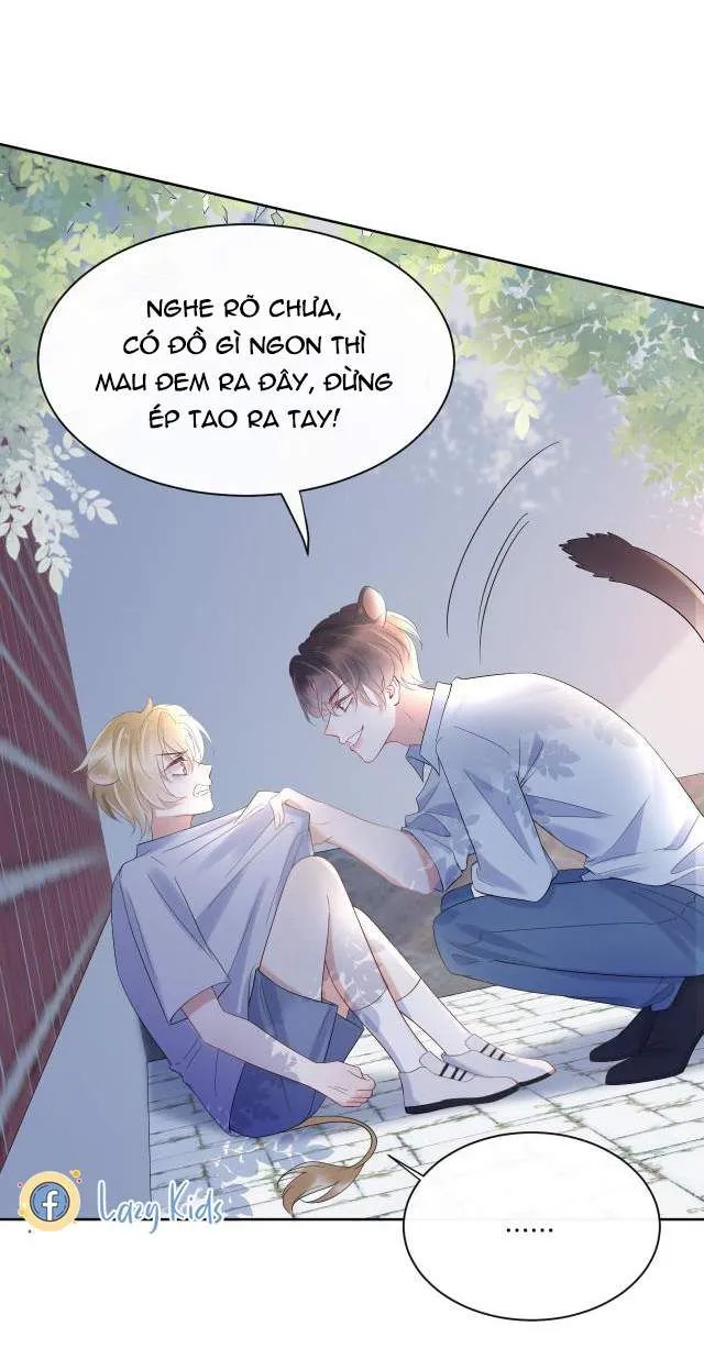 Trang 15