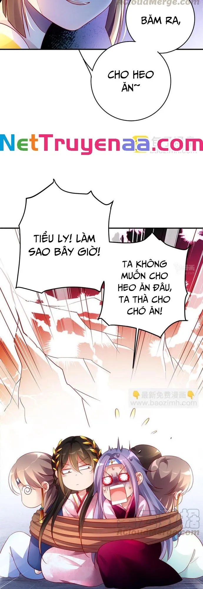 Trang 11