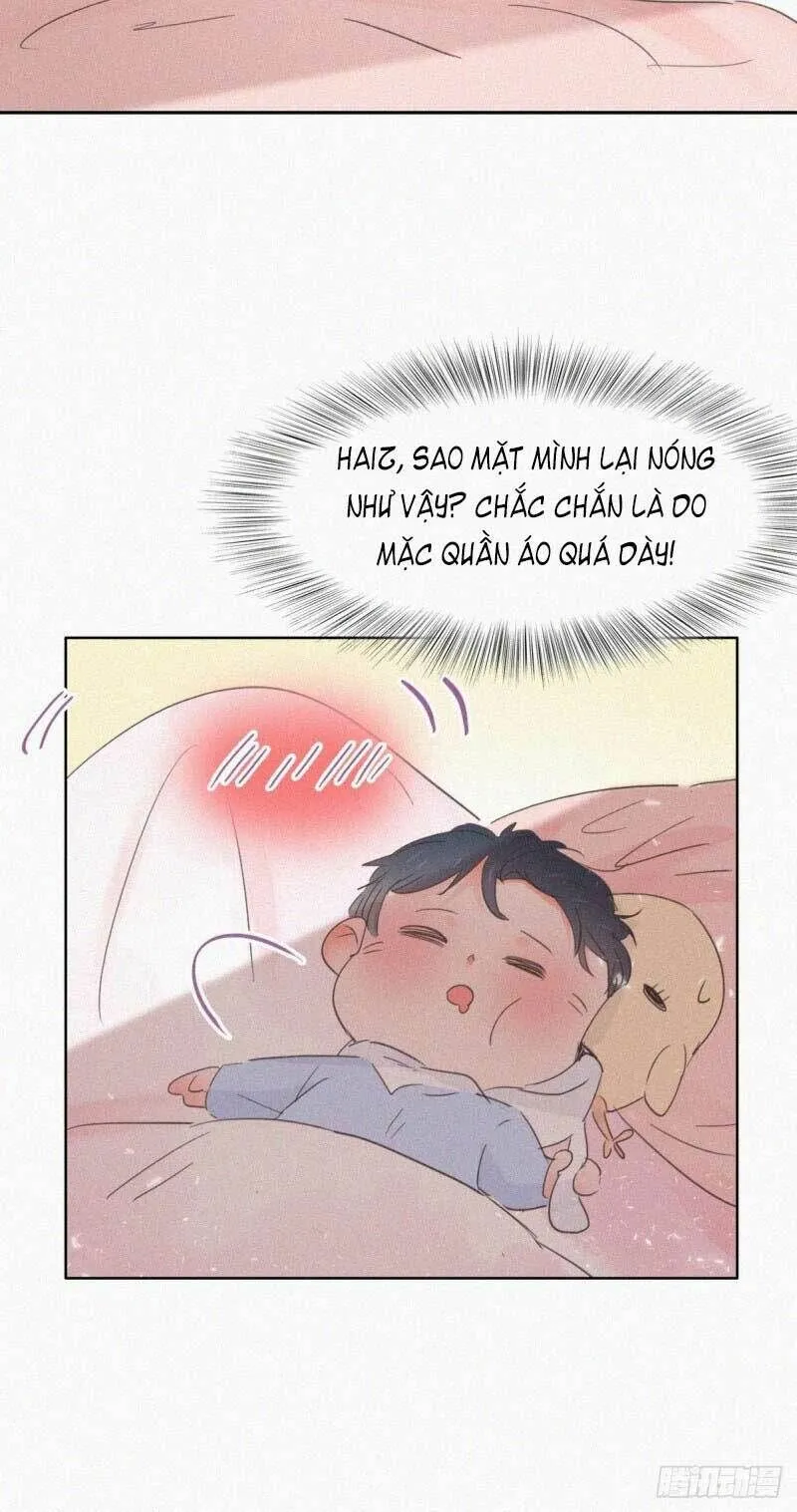 Trang 19