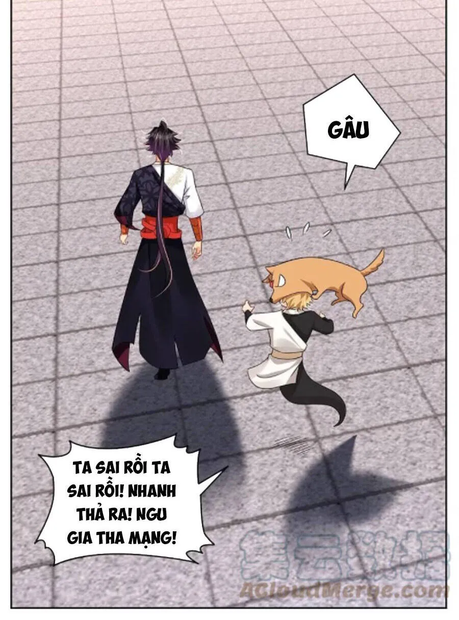 Trang 11
