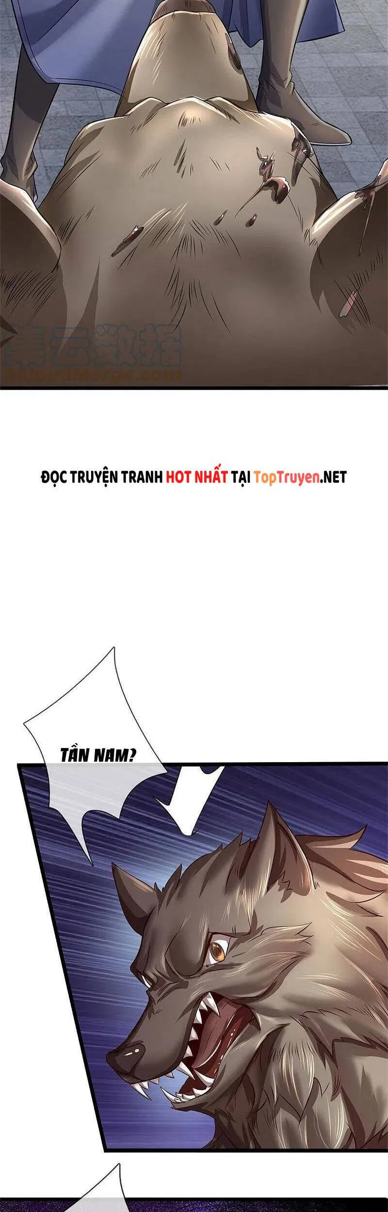 Trang 5