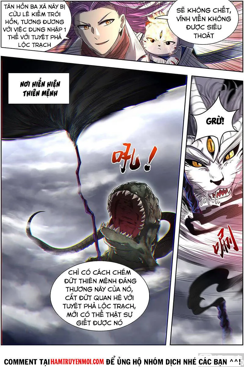 Trang 12