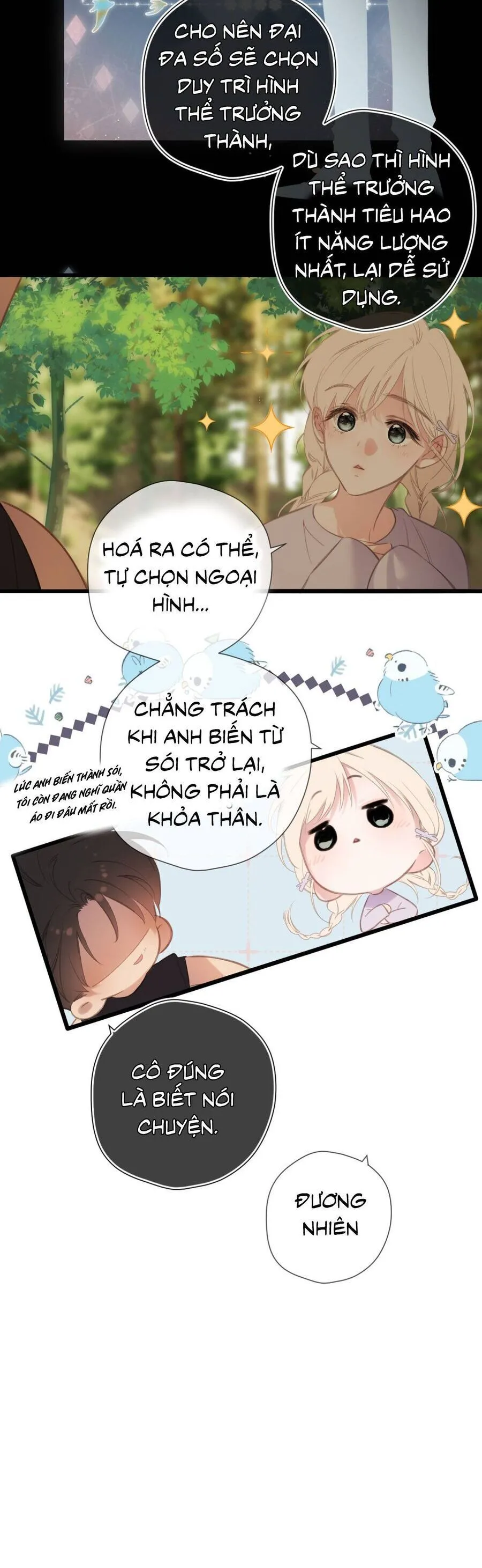 Trang 15