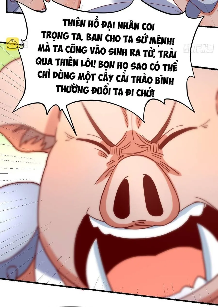 Trang 50