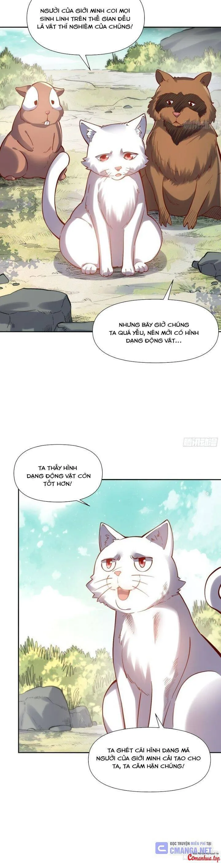 Trang 19