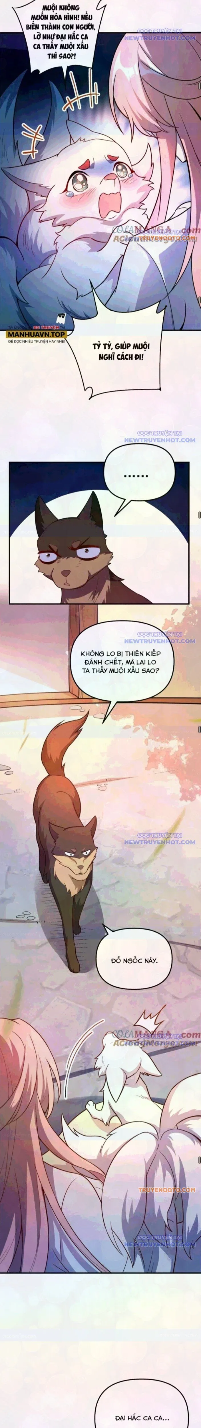 Trang 15