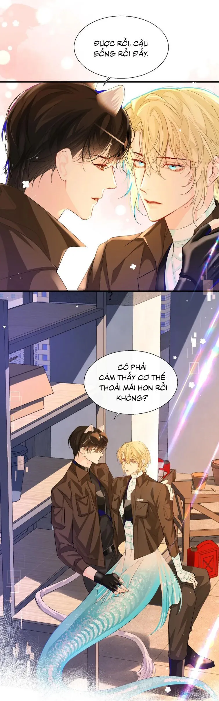 Trang 5
