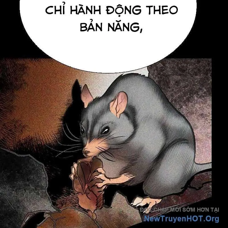 Trang 98