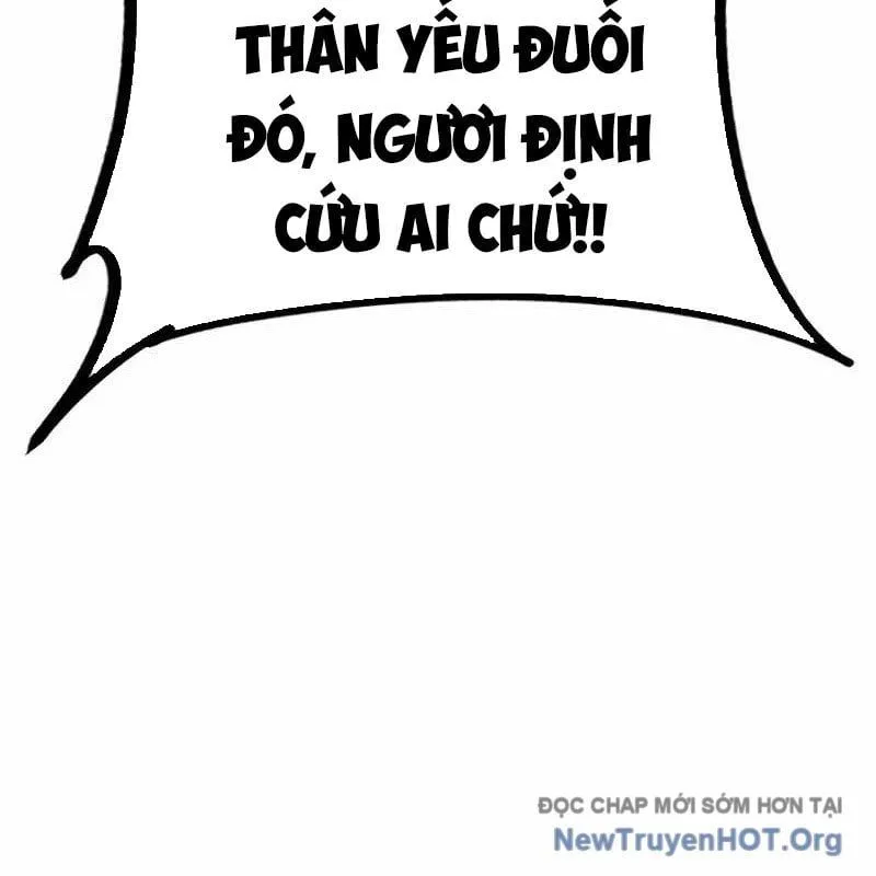 Trang 251
