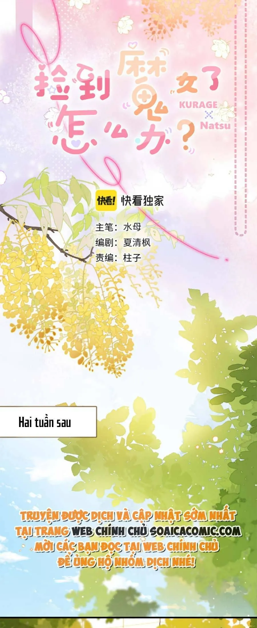 Trang 5