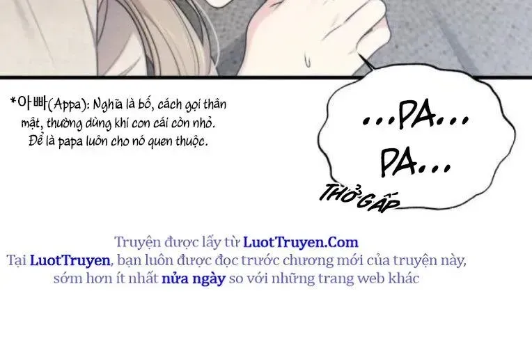 Trang 239