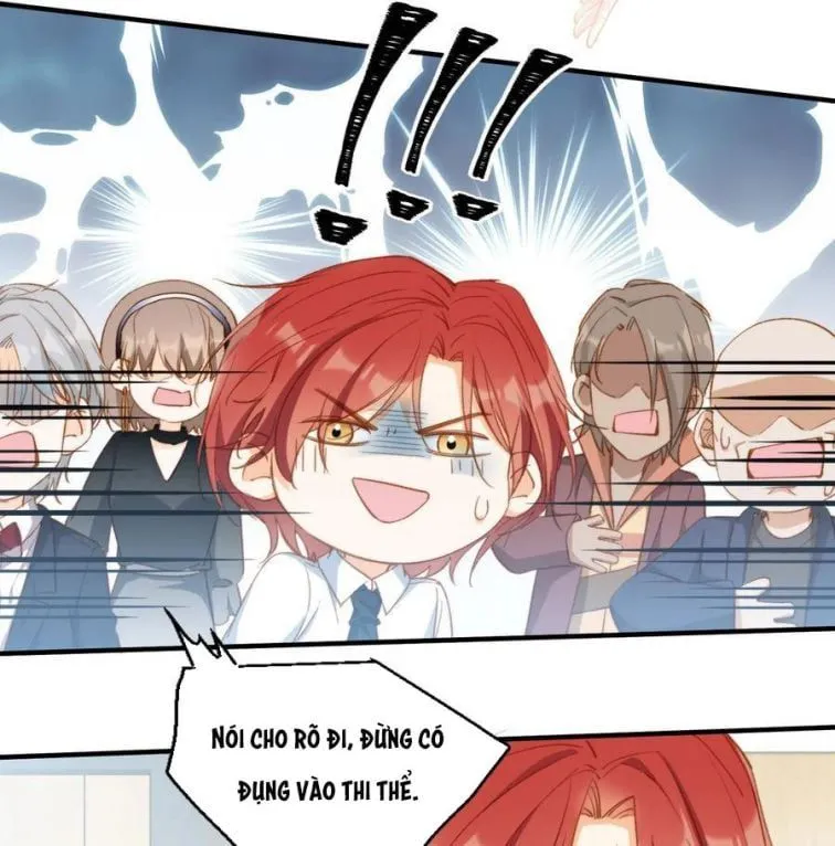 Trang 19