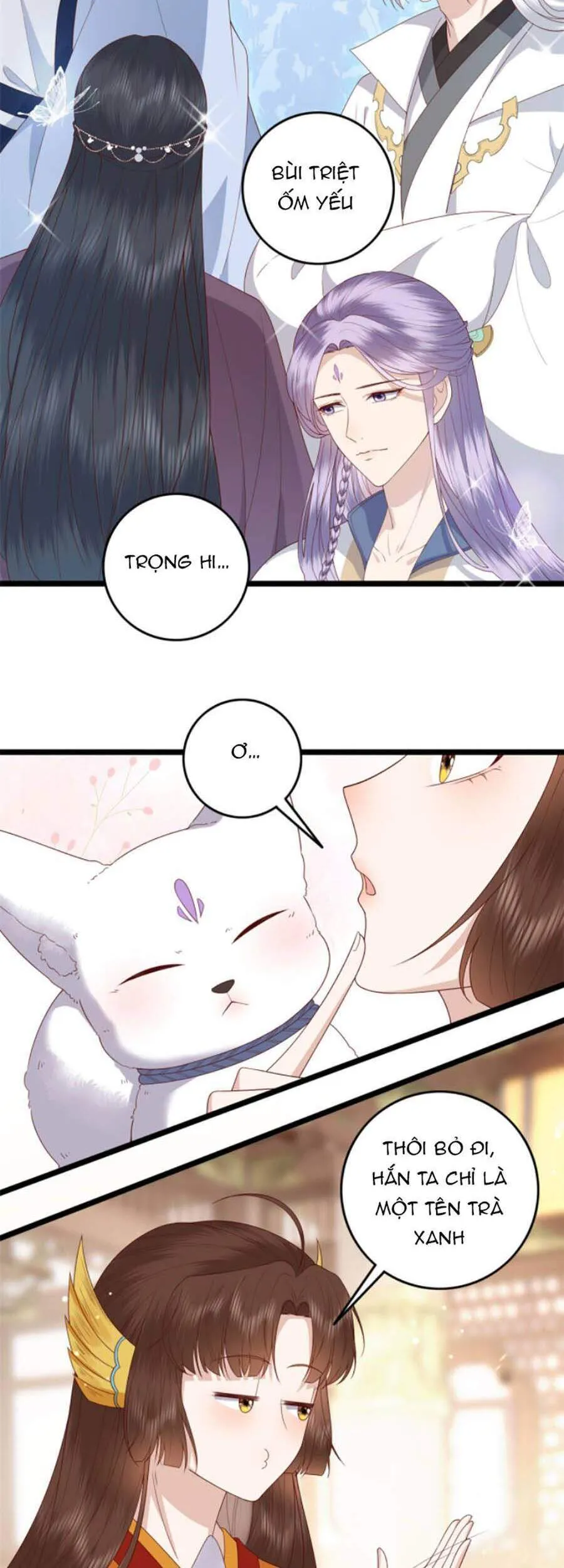 Trang 7