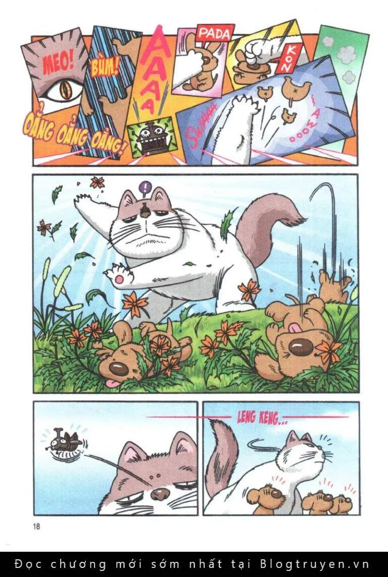 Trang 15