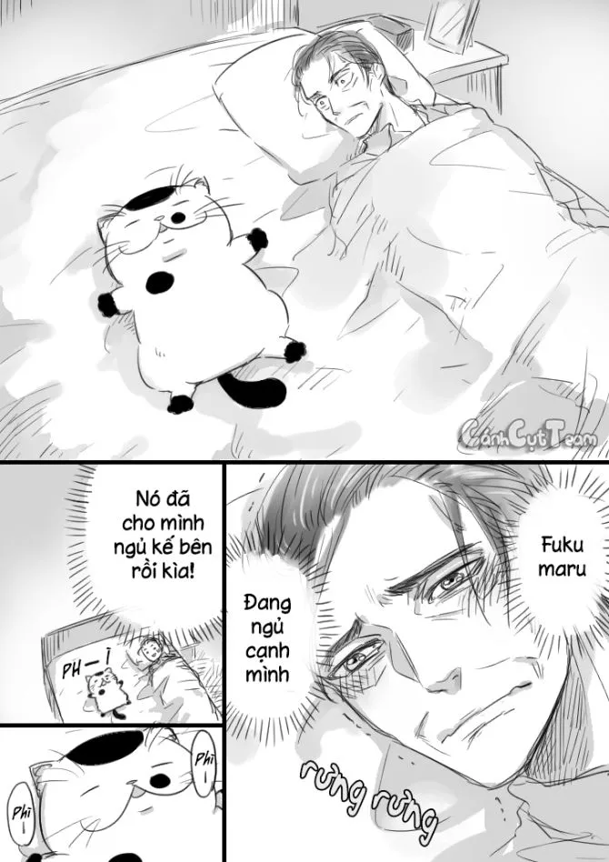 Trang 10