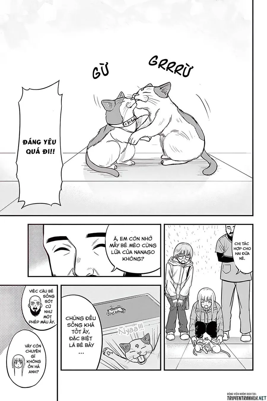 Trang 20