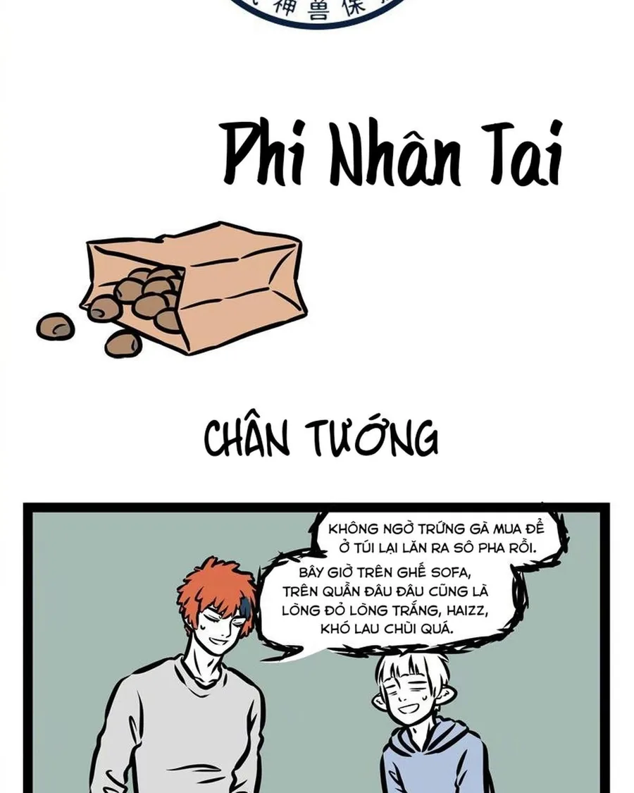 Trang 15