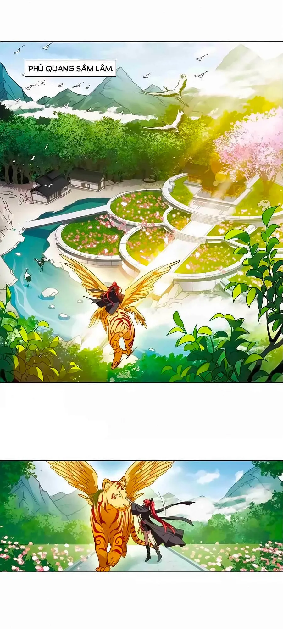 Trang 7