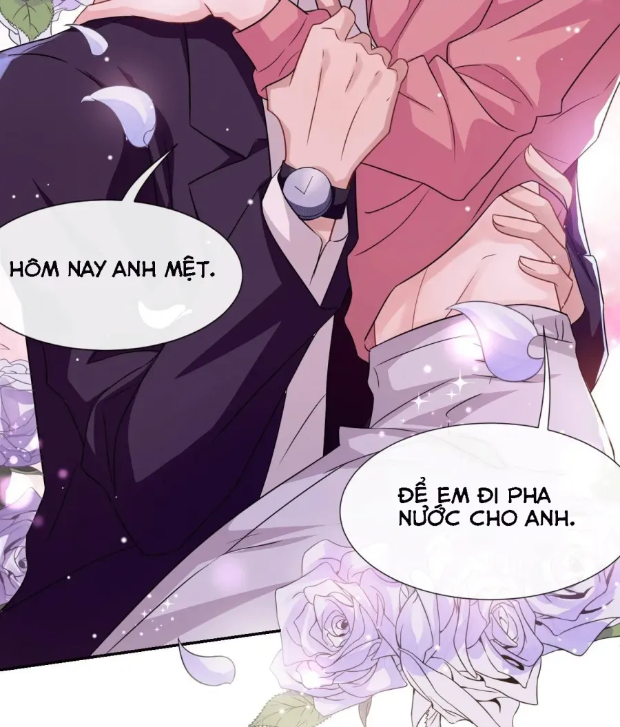 Trang 19