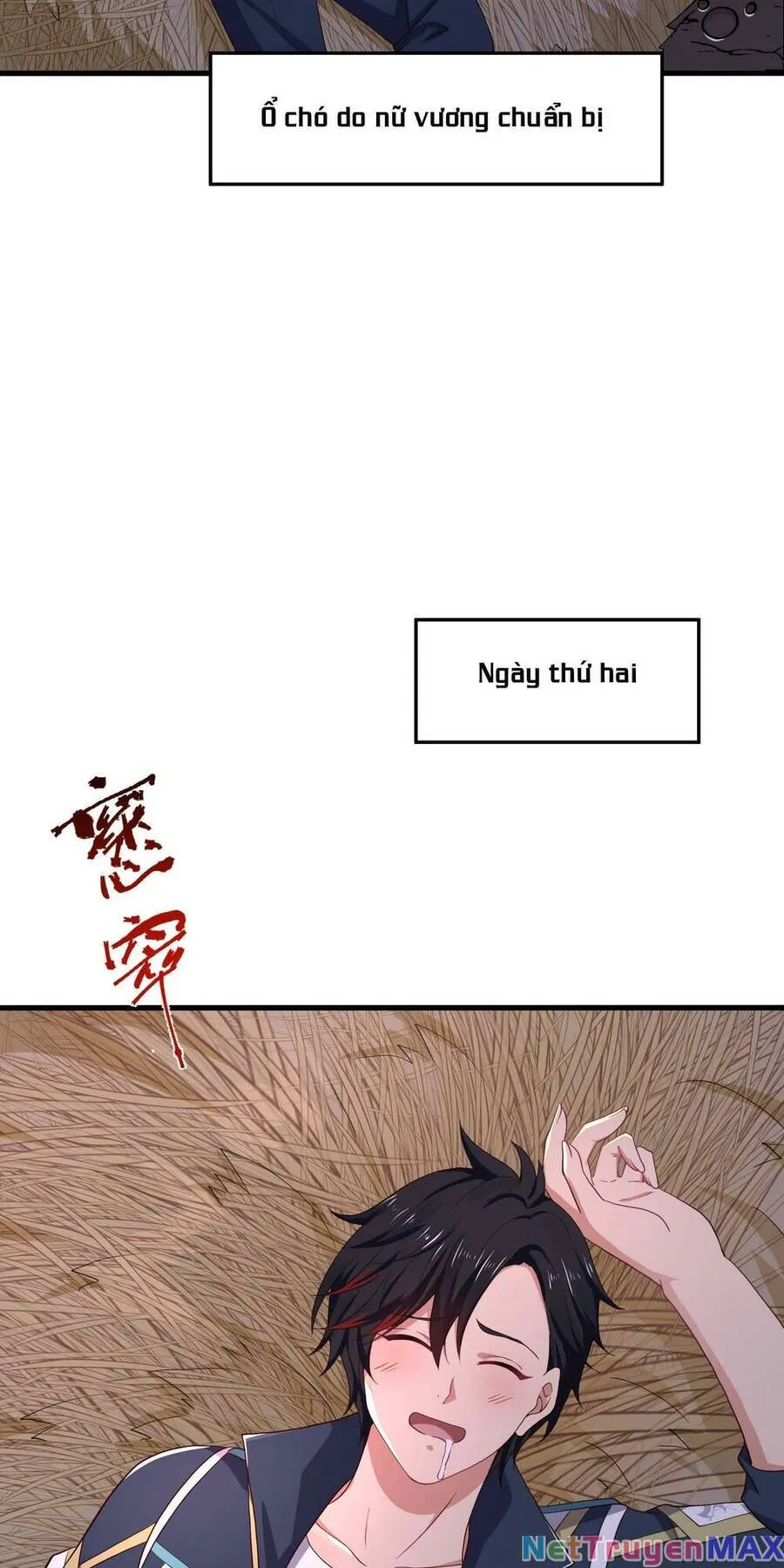Trang 6