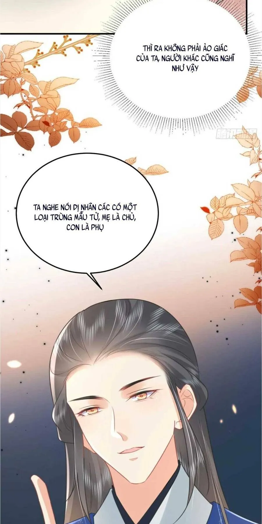 Trang 33