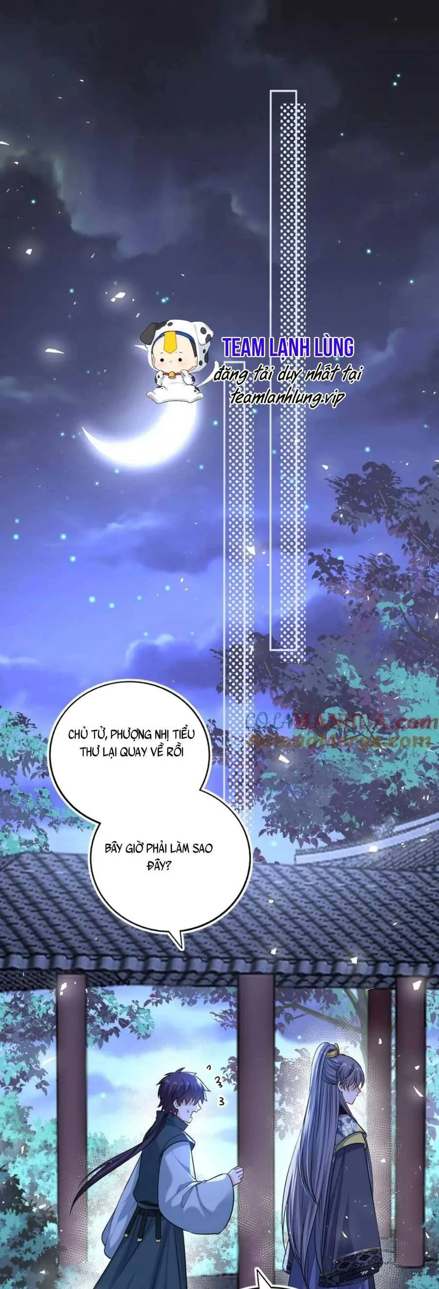 Trang 15