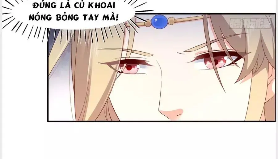 Trang 13