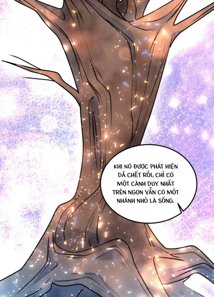 Trang 49