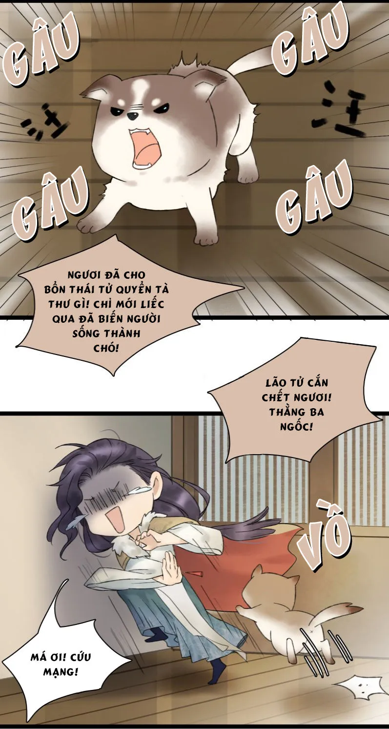 Trang 7
