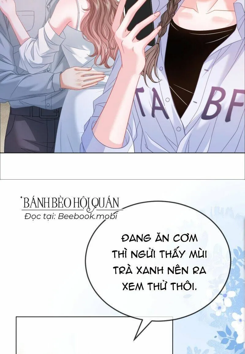 Trang 19