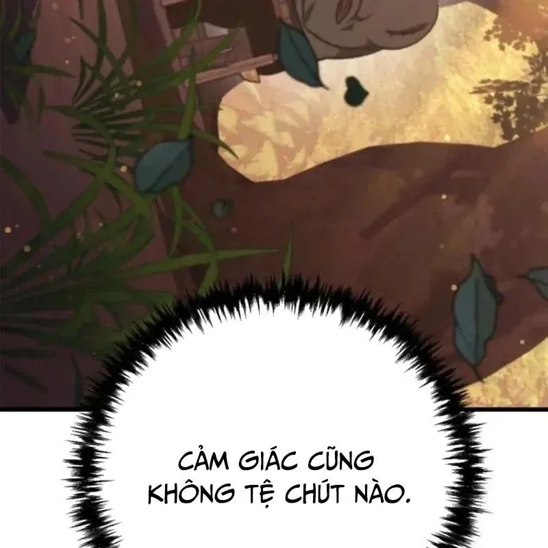 Trang 243