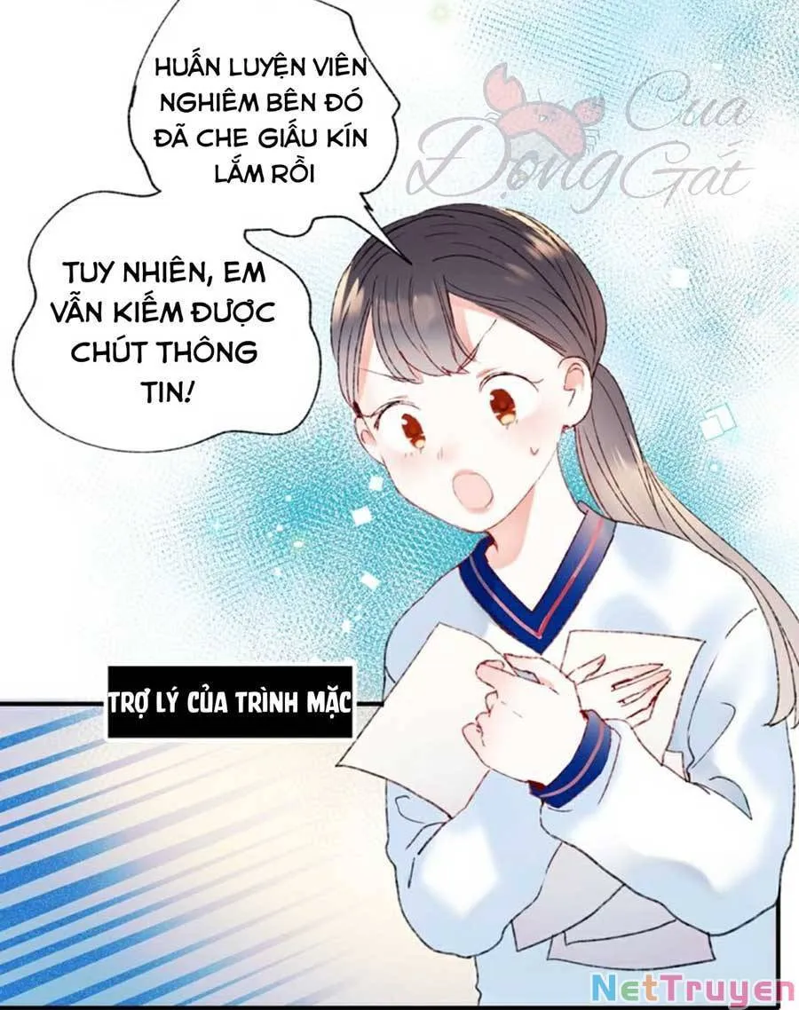 Trang 21