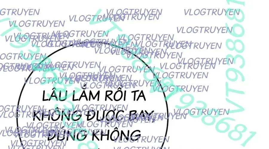 Trang 248