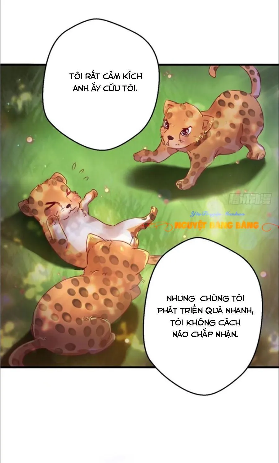 Trang 33