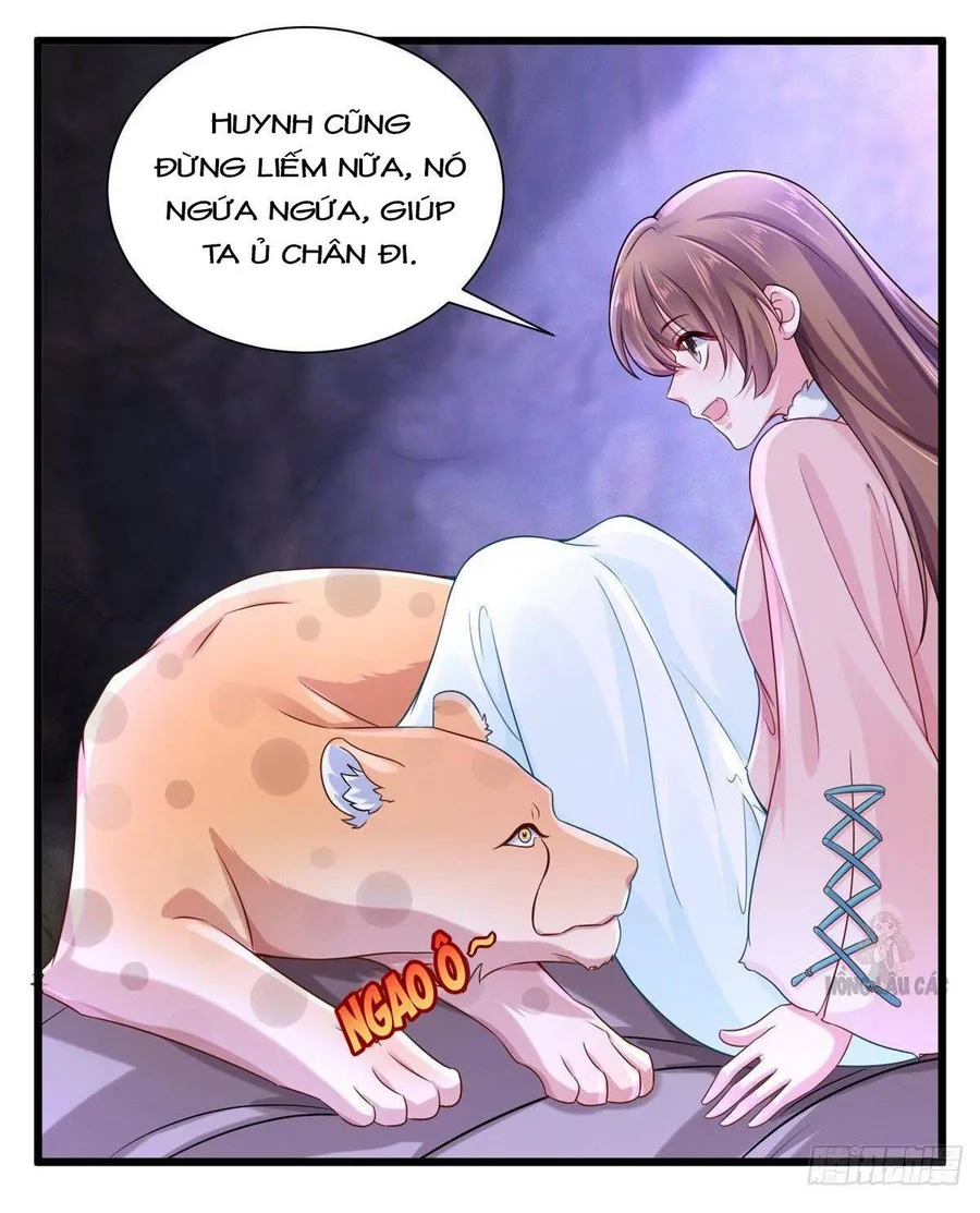 Trang 15