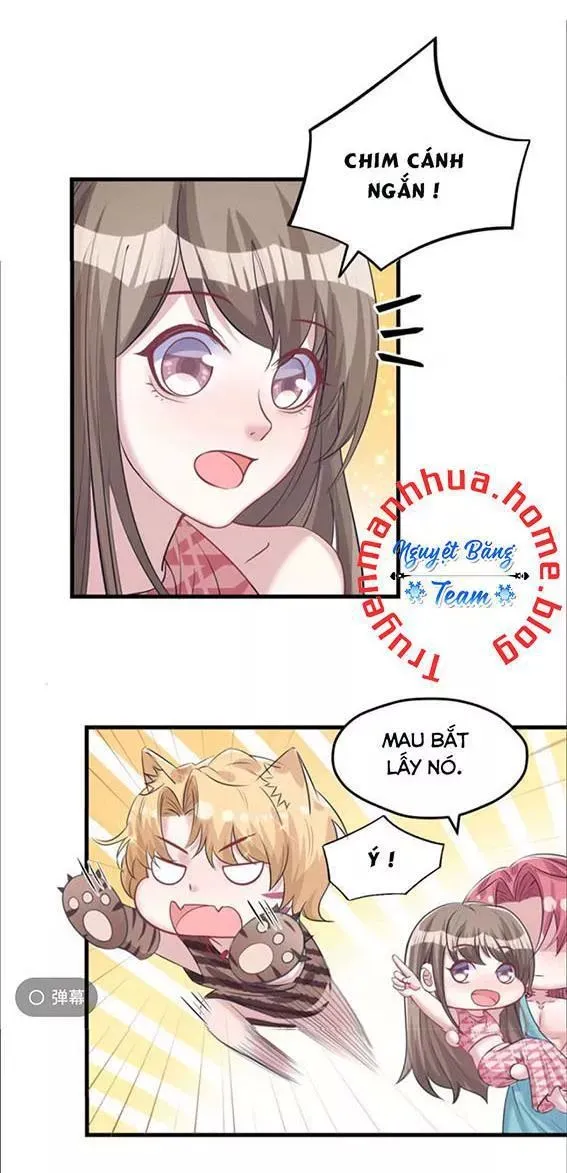 Trang 26