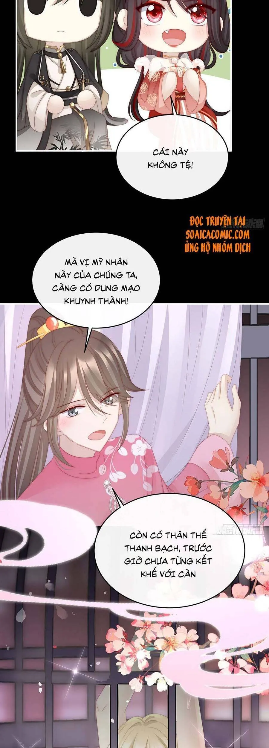 Trang 15