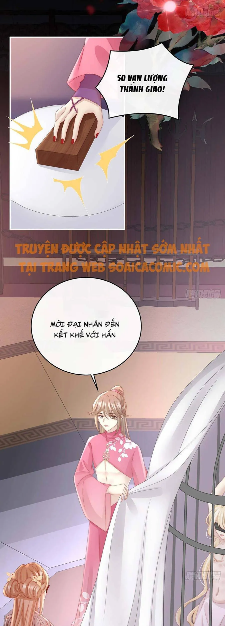 Trang 24