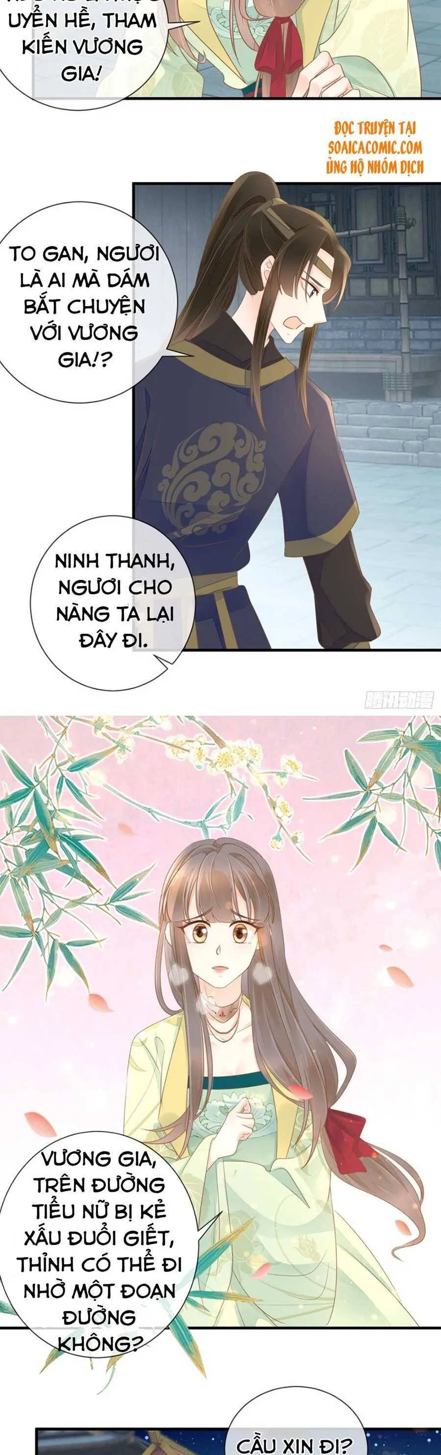Trang 12