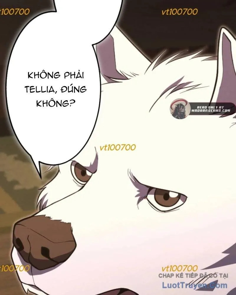 Trang 114