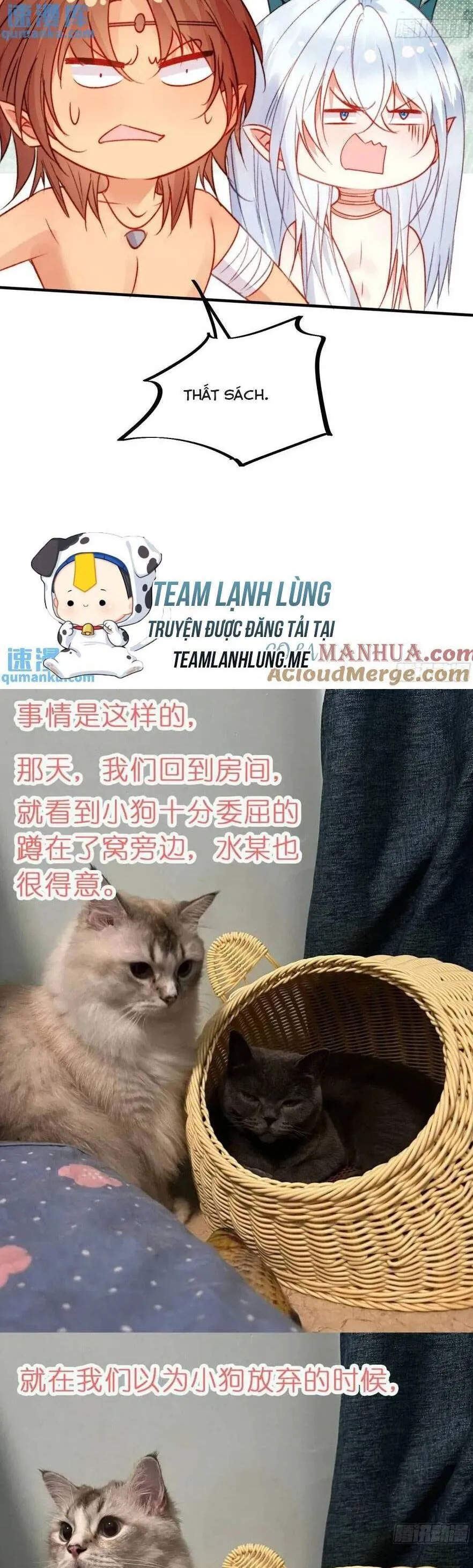 Trang 31