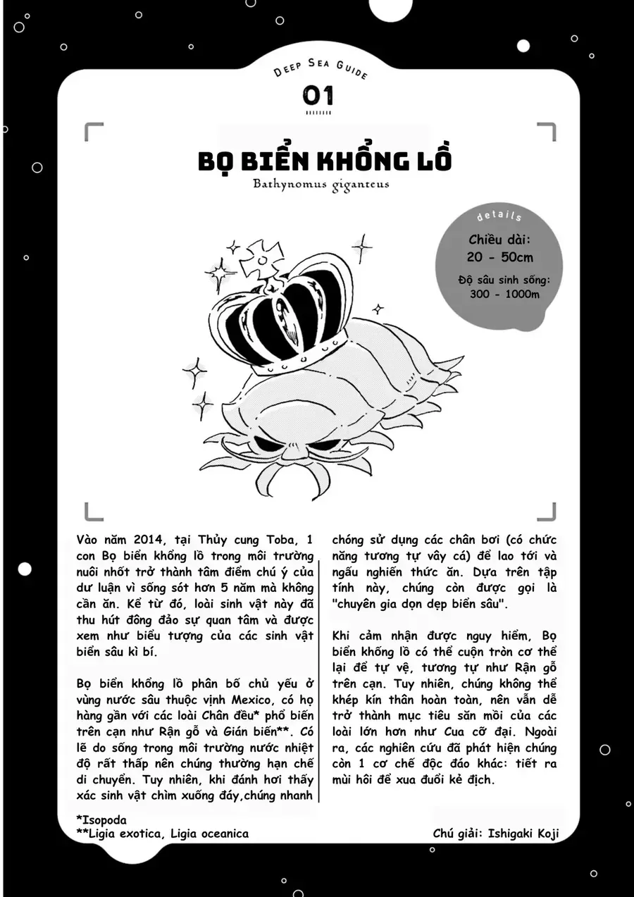 Trang 43