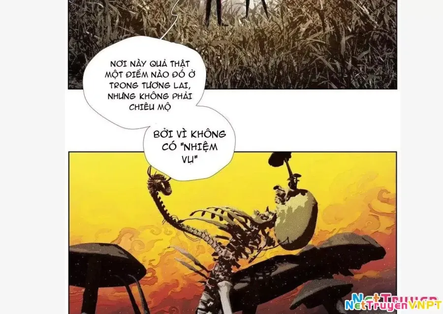 Trang 12