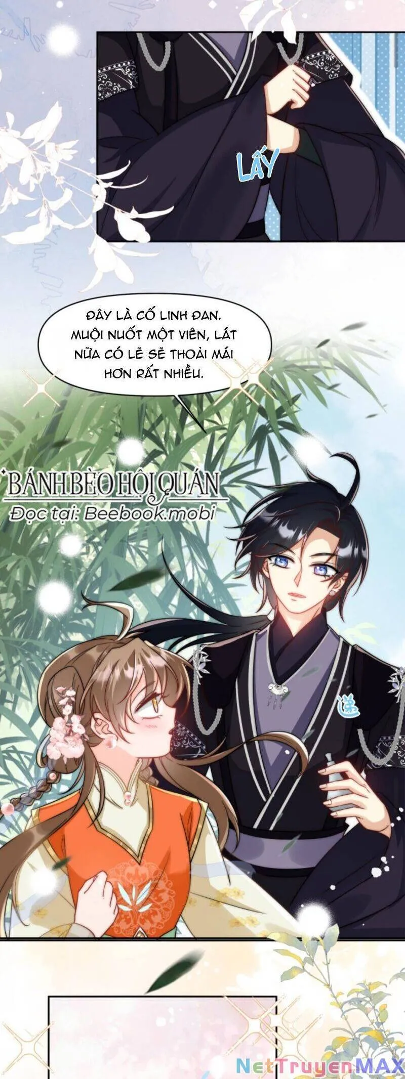 Trang 12
