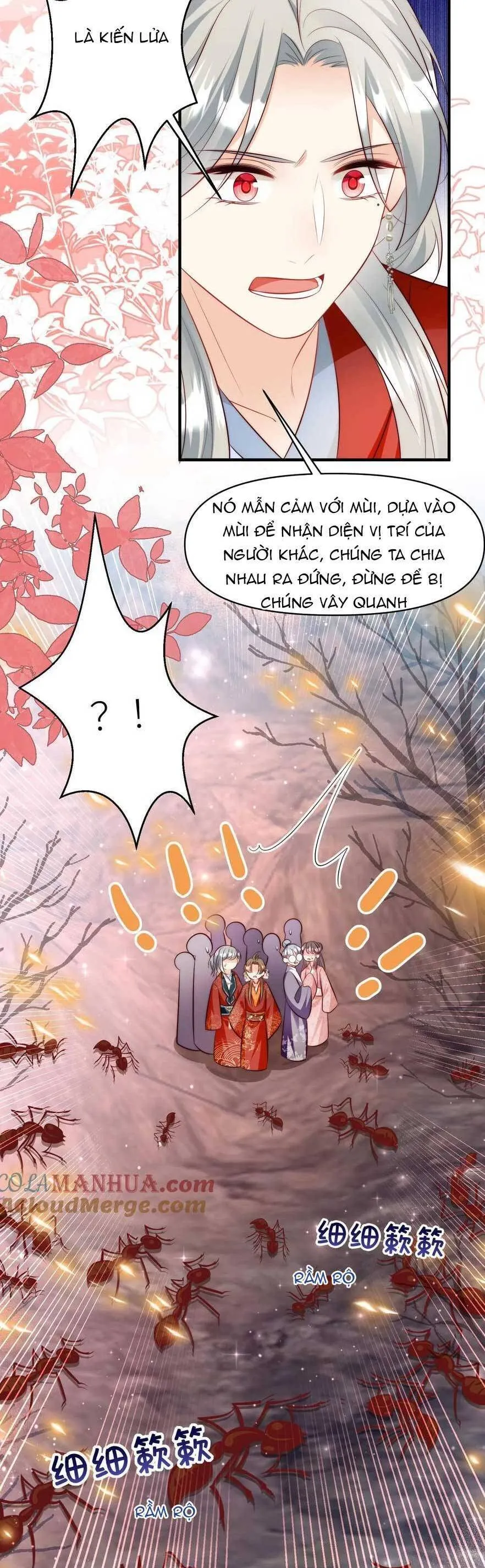 Trang 16