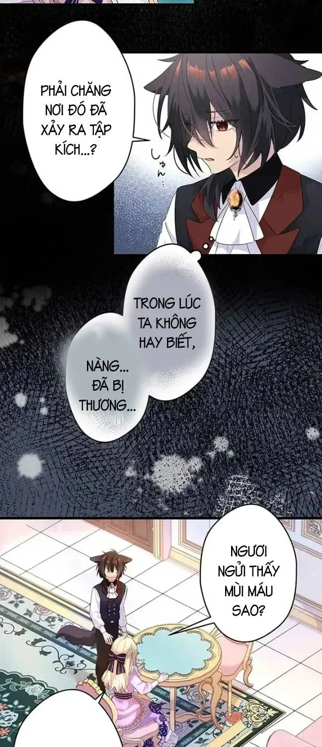 Trang 24