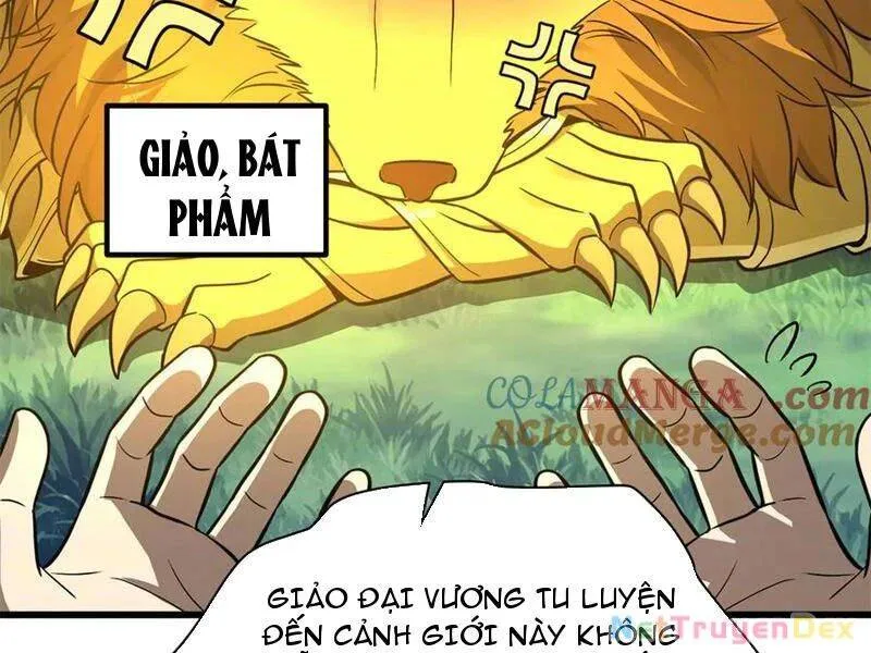 Trang 52